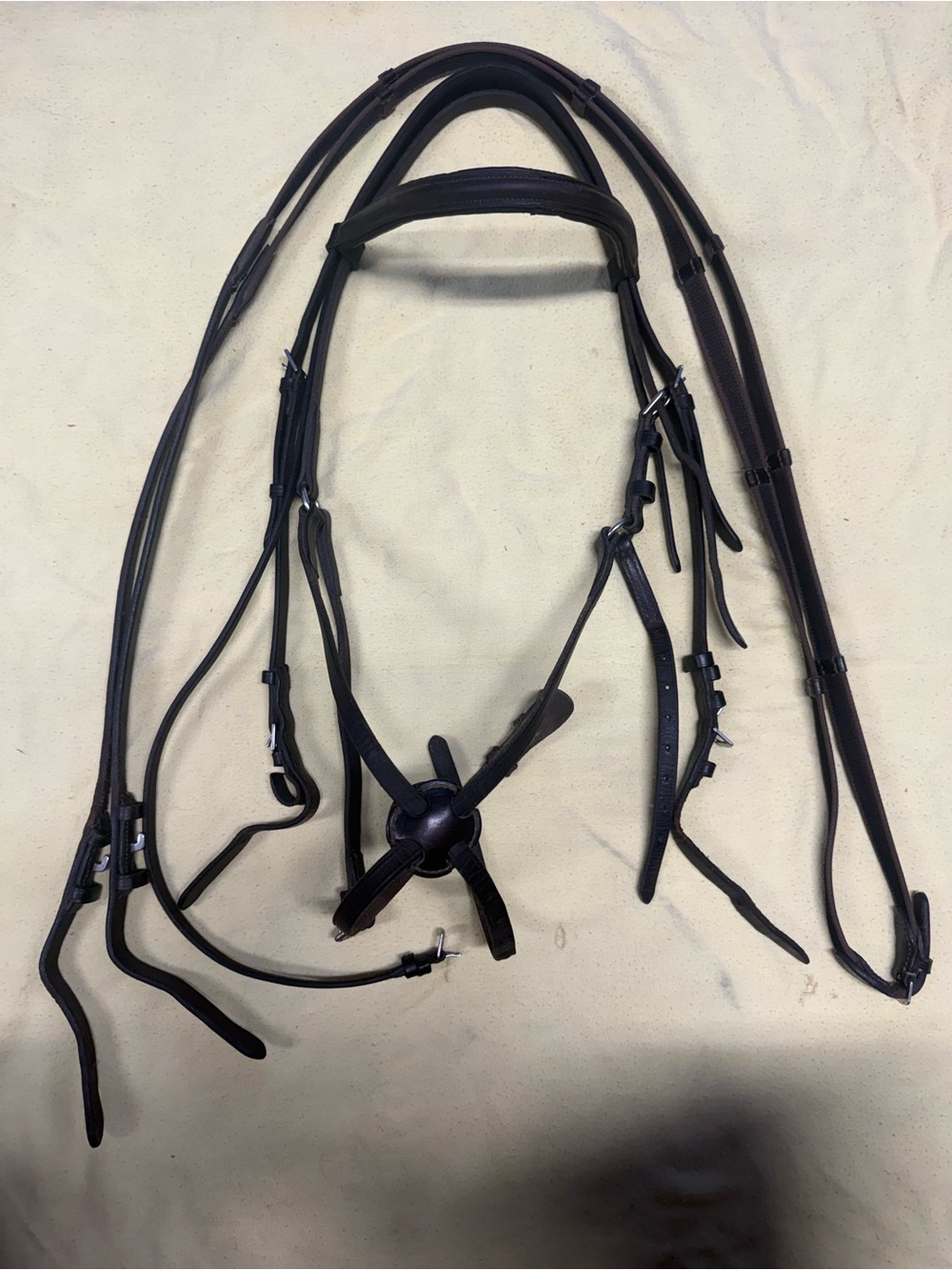Horse sized figure 8 bridle